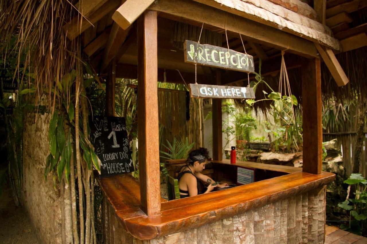 Cabanas La Eufemia Tulum Exteriör bild